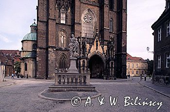 Wrocław, Ostrów Tumnski katedra