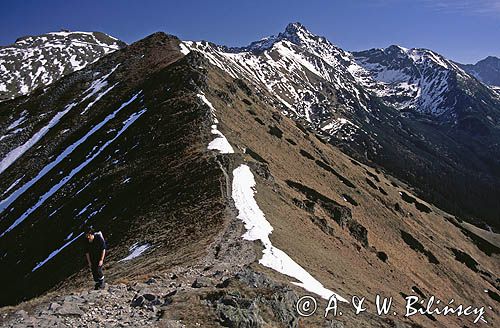 Tatry Pośredni Goryczkowy i Świnica