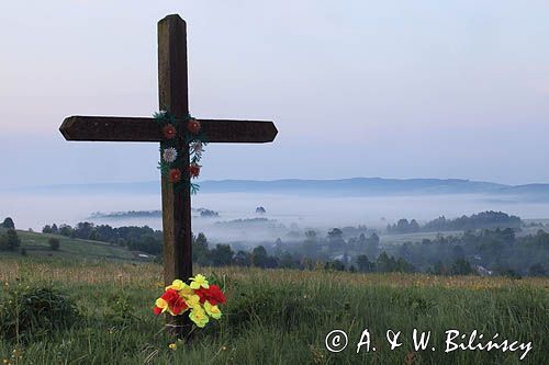 krzyż przydrożny koło wsi Wydrna, Pogórze Dynowskie