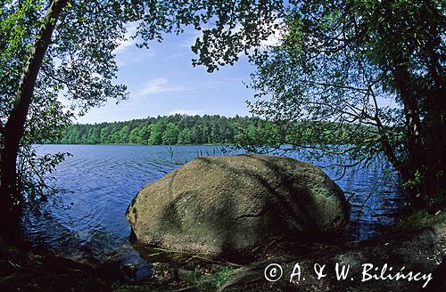 Wydrzy głaz nad jez. Czajczym, Woliński Park Narodowy, Wyspa Wolin