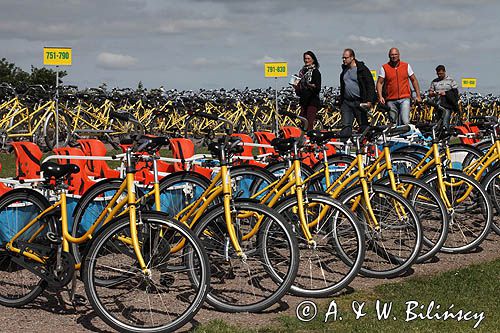 Wypożyczalnia rowerów na wyspie Ven, Hven, Sund, Szwecja