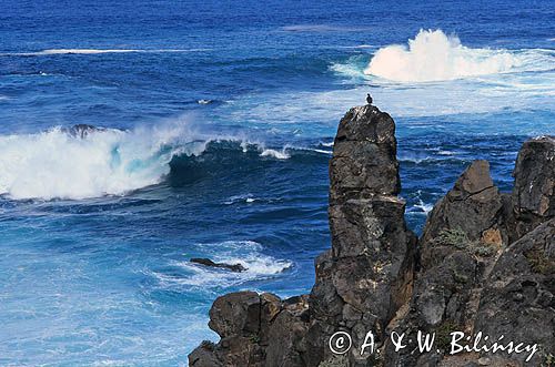 Wyspy Kanaryjskie, wyspa Teneryfa, Garachico