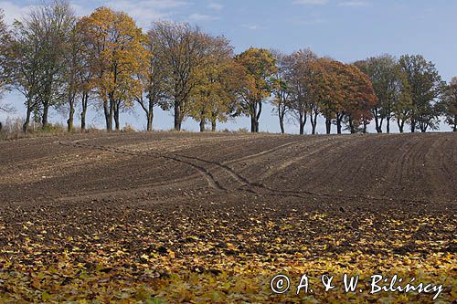 Park Krajobrazowy Wzgórz Dylewskich, Mazury