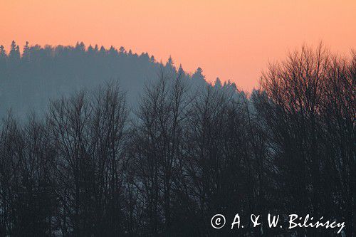 Buczyna, Ostre, Kolasznia, Bieszczady