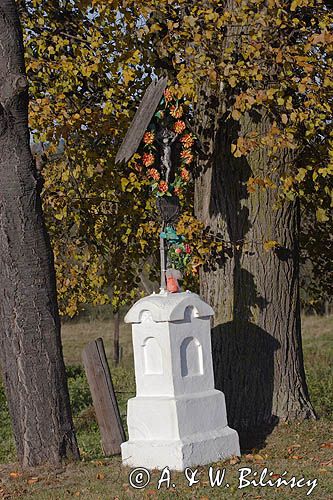 krzyż przydrożny w Zadwórzu, Bieszczady