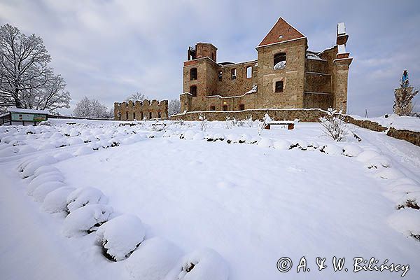 Ruiny klasztoru Karmelitów Bosych w Zagórzu