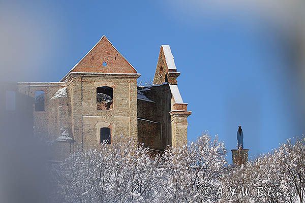 Ruiny klasztoru Karmelitów Bosych w Zagórzu