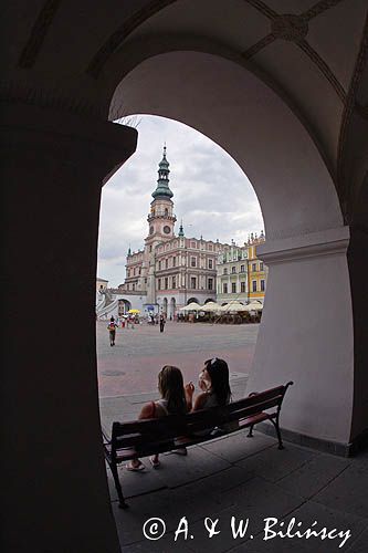 Zamość, Ratusz i rynek