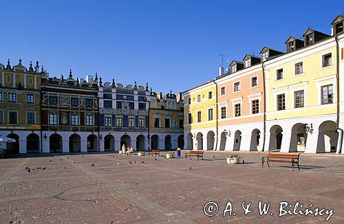 Zamość kamienice, rynek