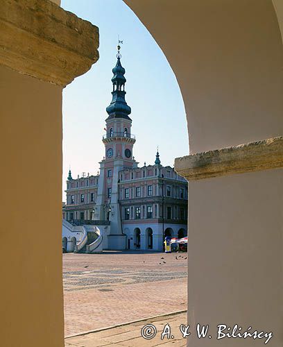 Zamość, ratusz, rynek