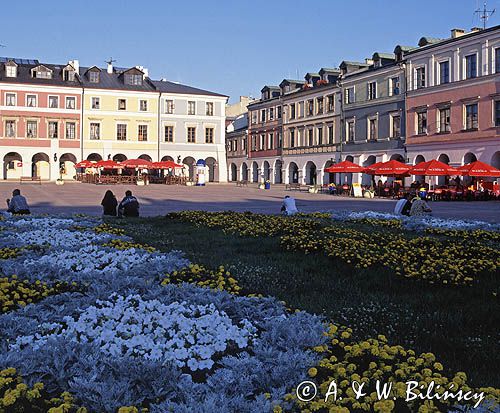 Zamość, rynek i kamienice