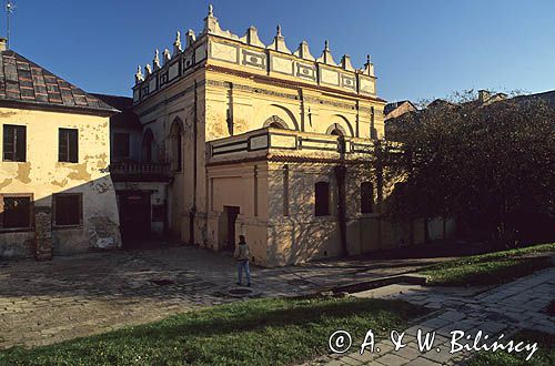 Zamość synagoga