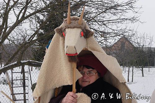 Zapusty Mazowieckie, Długołęka, XXVIII przegląd Przebierańców Zapustnych, Mazowieckie Zapusty 2009