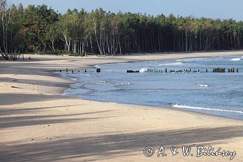 plaża, Górki Zachodnie, Stogi, Zatoka Gdańska, Bałtyk