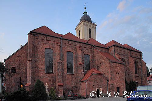 Zielona Góra, Konkatedra