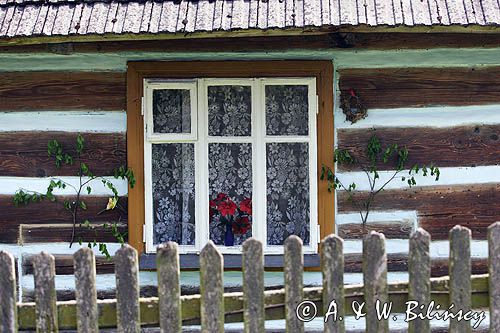 chata we wsi Rakszawa Potok koło Łańcuta przyozdobiona brzozowymi gałązkami na Zielone Świątki