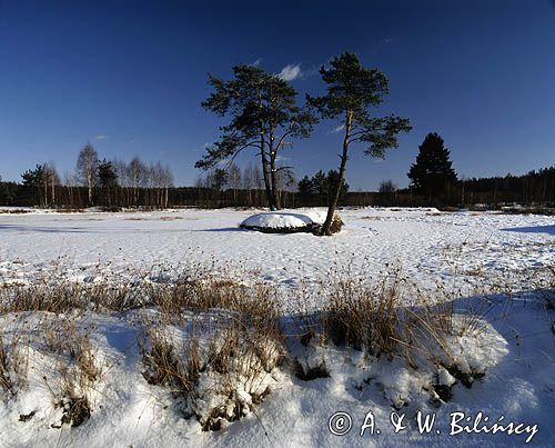 zima na Podlasiu w Kiturykach