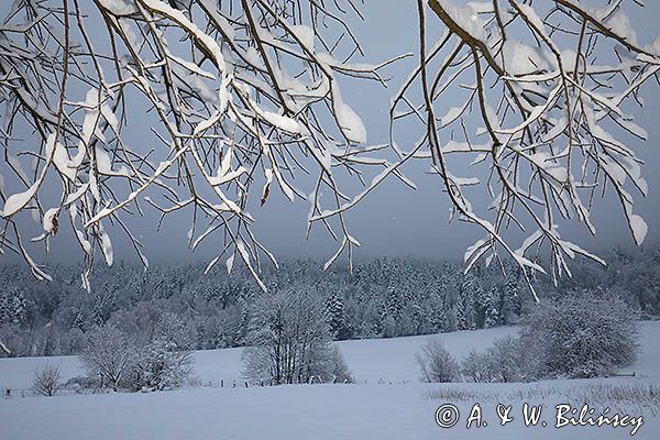 Zaśnieżony krajobraz, Bieszczady