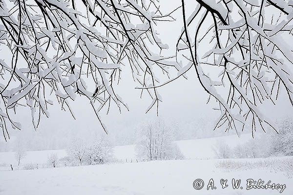 Zaśnieżony krajobraz, Bieszczady