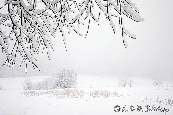 Zaśnieżony krajobraz, Bieszczady