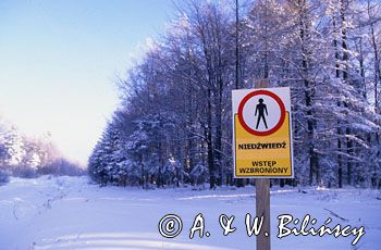 Bieszczady, Góry Słonne Arłamów