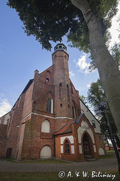 Żukowo, kościół poklasztorny, Kościół Wniebowzięcia Najświętszej Marii Panny