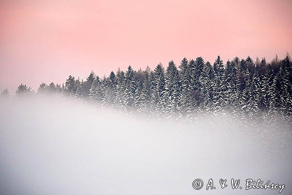 Pasmo Żuków we mgle, Góry Sanocko-Turczańskie