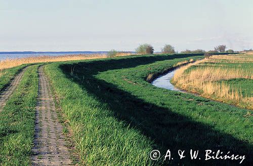 żuławy wiślane grobla nad Zalewem Wiślanym