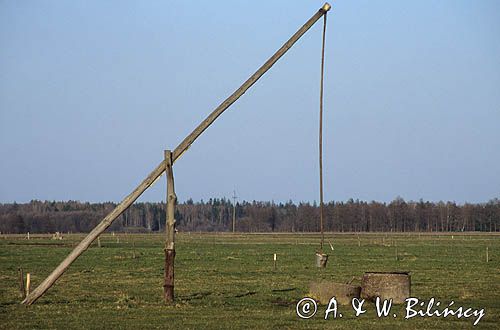 studnia żuraw na polanie w Puszczy Białowieskiej, Podlasie