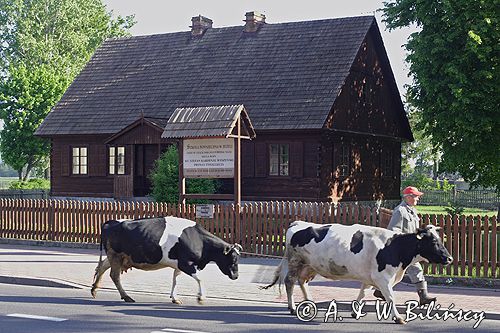 Zuzela szkoła podstawowa - muzeum, wieś w której urodził się Prymas Tysiąclecia - kardynał Wyszyński