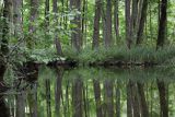 Rzeka Babant, Mazury