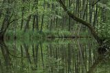 Rzeka Babięcka Struga, Mazury