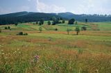 okolice Zwardonia, Beskid żywiecki