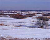 zima na Bagnach Biebrzańskich, rzeka Biebrza zimą, Biebrzański Park Narodowy, widok z Burzyna