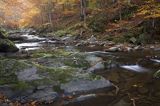 Potok Nasiczniański, Bieszczady