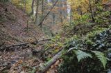 Jesień, Bieszczady, potok