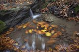 Jesienny potok, Puszcza Karpacka