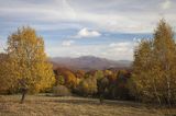 Jesień spod Rawek, widok na Tarnicę, Bieszczady