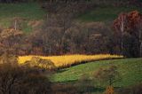 Bieszczady jesień Sokołowa Wola,