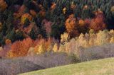 jesień na Ostrem, szczyt Kolasznia, Bieszczady