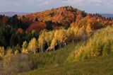 jesień na Ostrem, szczyt Kolasznia, Bieszczady