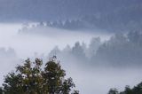 mgły nad Jawornikami, Bieszczady