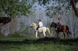 Ludzie na koniach w Bieszczadach, Polska