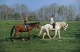 Ludzie na koniach w Bieszczadach, na koniach huculskich, Polska