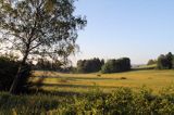 łąka koło Czarnej, Bieszczady