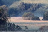 łąka koło Czarnej, Bieszczady