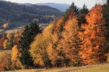 jesień w Bieszczadach, w dolinie żłobka