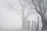 we mgle, Bieszczady pod Jawornikami