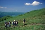 Bieszczady Przełęcz Orłowicza