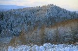 widok z punktu widokowego na Ostrem, Bieszczady, szczyt Kolasznia